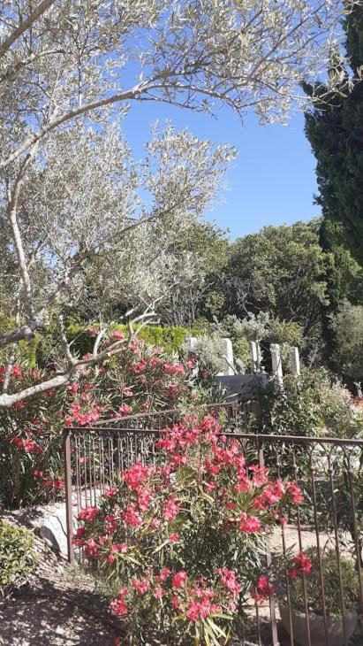 Hotel Villa Glanum Et Spa Saint-Rémy-de-Provence Exterior foto